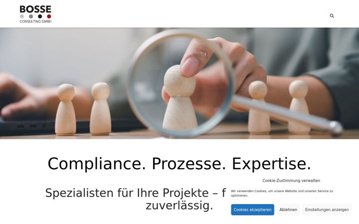 Screenshot of bosse-consulting.de