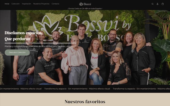 Screenshot of bossvi.com