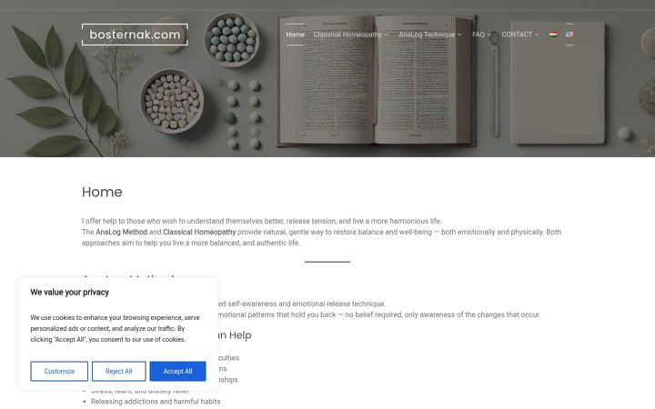 Screenshot of bosternak.com