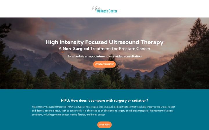 Screenshot of bostonhifu.com