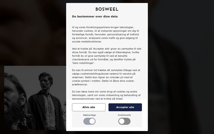 Screenshot of bosweel.com