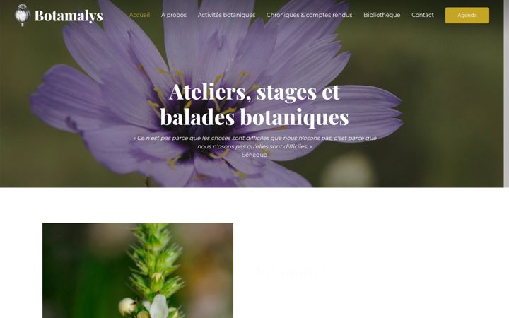 Skjámynd af botamalys.fr