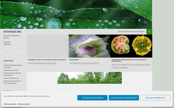 Screenshot of botanique.org