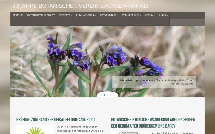 Képernyőkép: botanischer-verein-sachsen-anhalt.de
