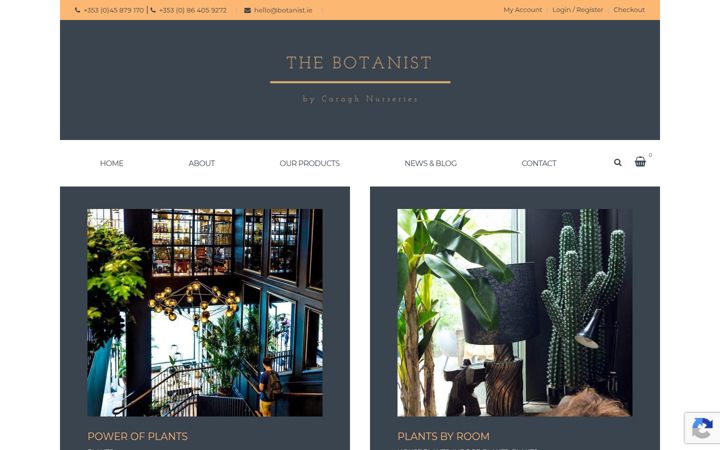 Skärmbild av botanist.ie