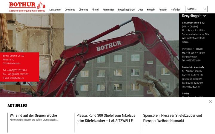 Skjámynd af bothur.eu