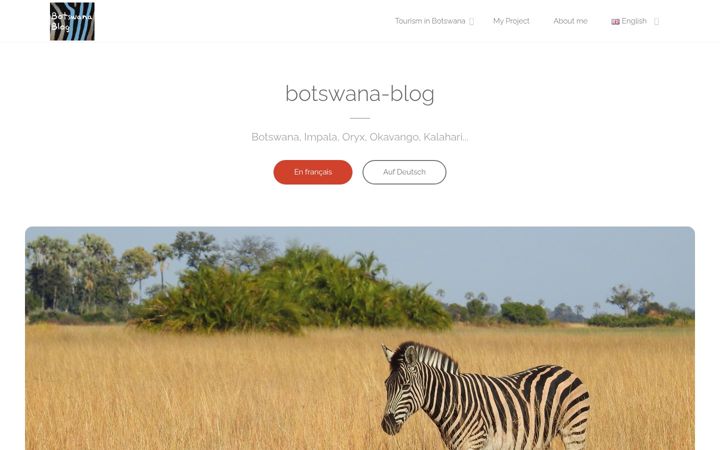 Screenshot of botswana-blog.org