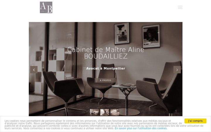 Screenshot of boudailliez.fr