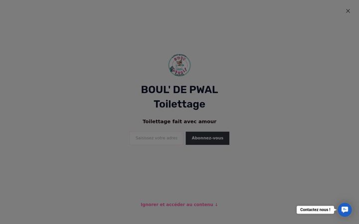 Captură de ecran a bouldepwal.fr