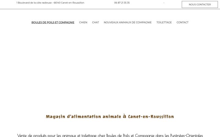 Screenshot of boulesdepoilsetcompagnie.fr