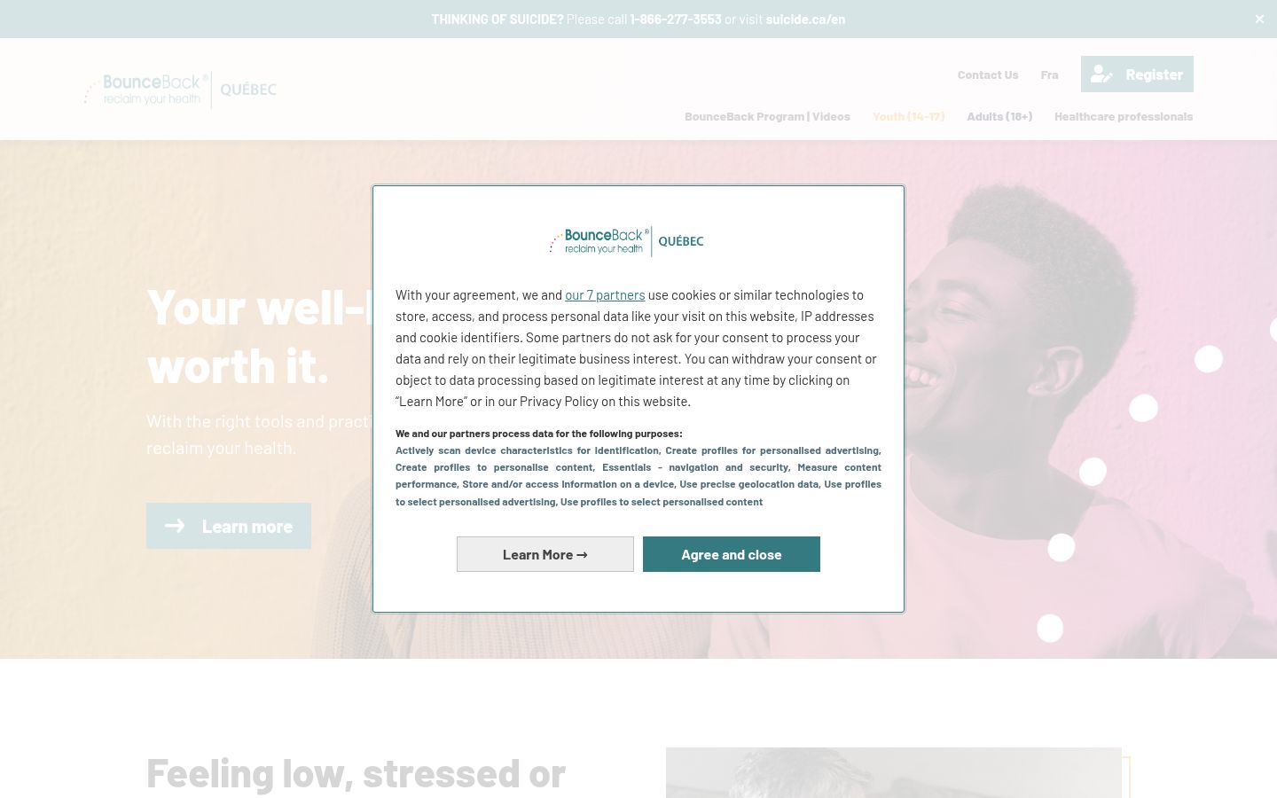 Screenshot of the consent banner shown before any interaction