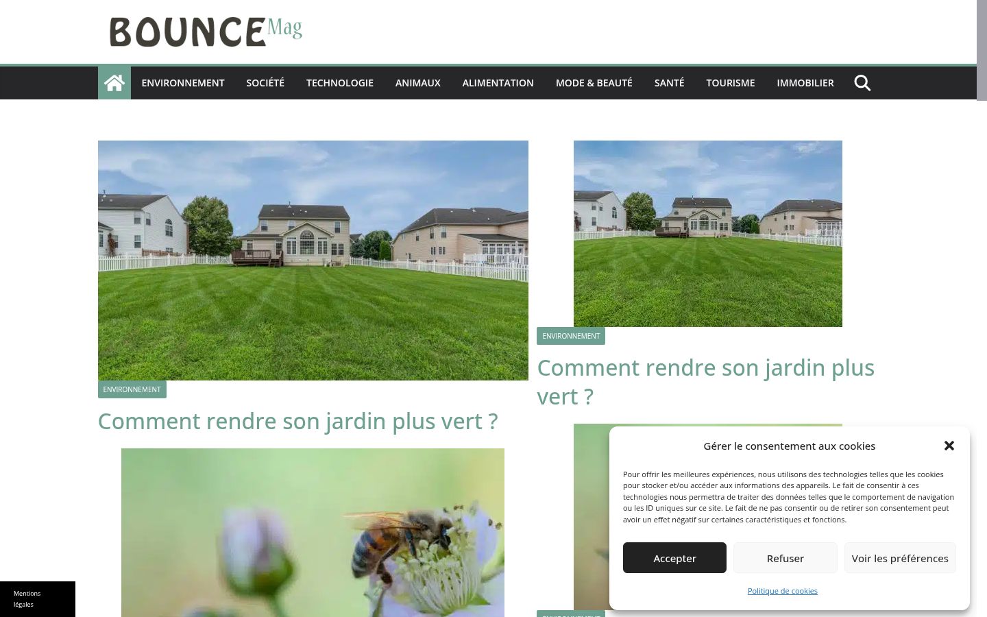Screenshot of the consent banner shown before any interaction