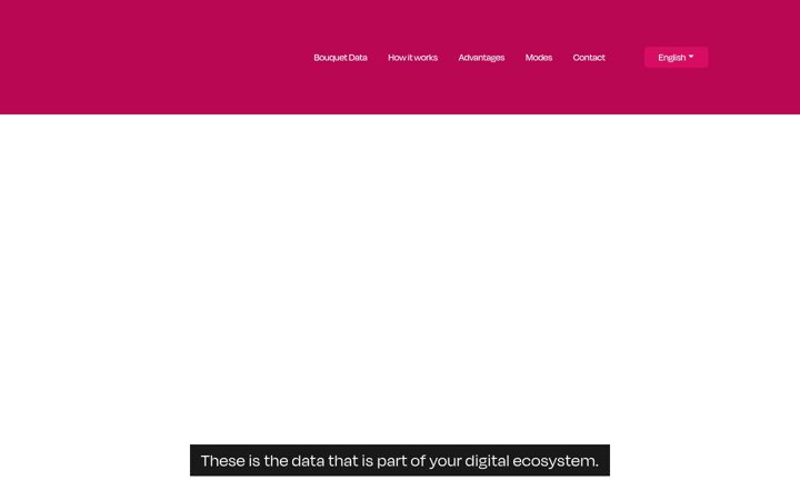 Screenshot of bouquetdata.com
