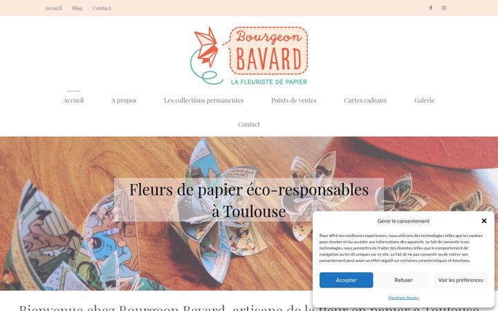Screenshot of bourgeonbavard.fr
