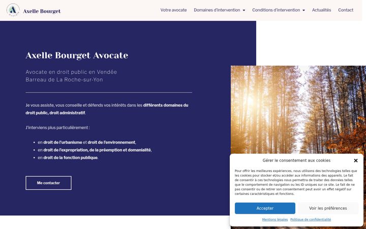 Snímek obrazovky bourget-avocat.fr