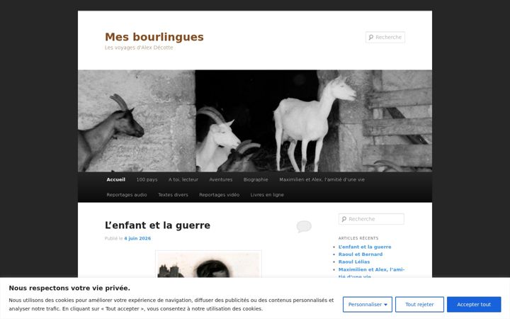 Screenshot of bourlingue.net