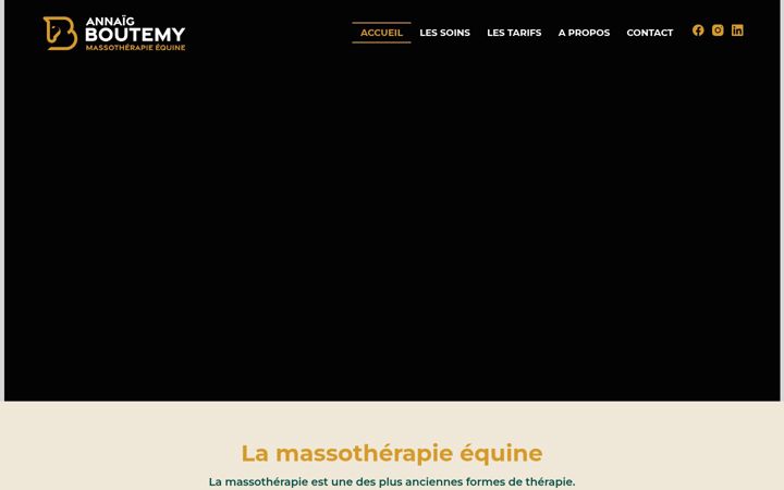 Screenshot of boutemy-massageequin.fr