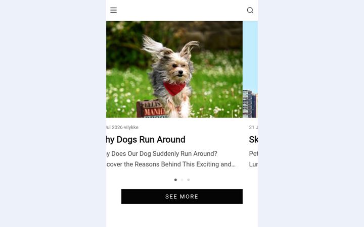 Screenshot of boutiu.com