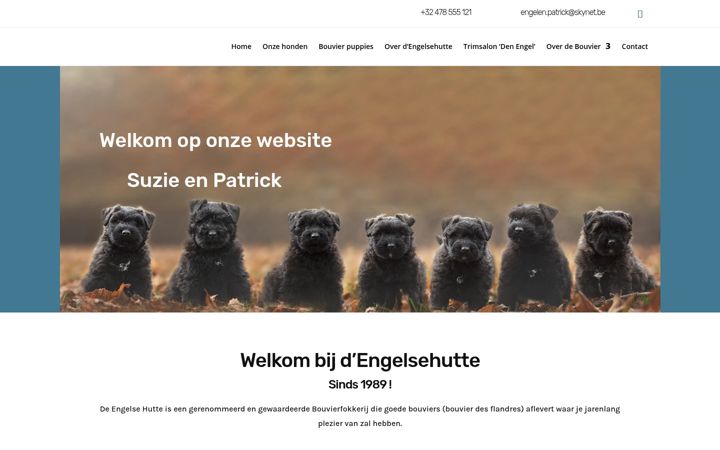 Screenshot of bouvierpups.be