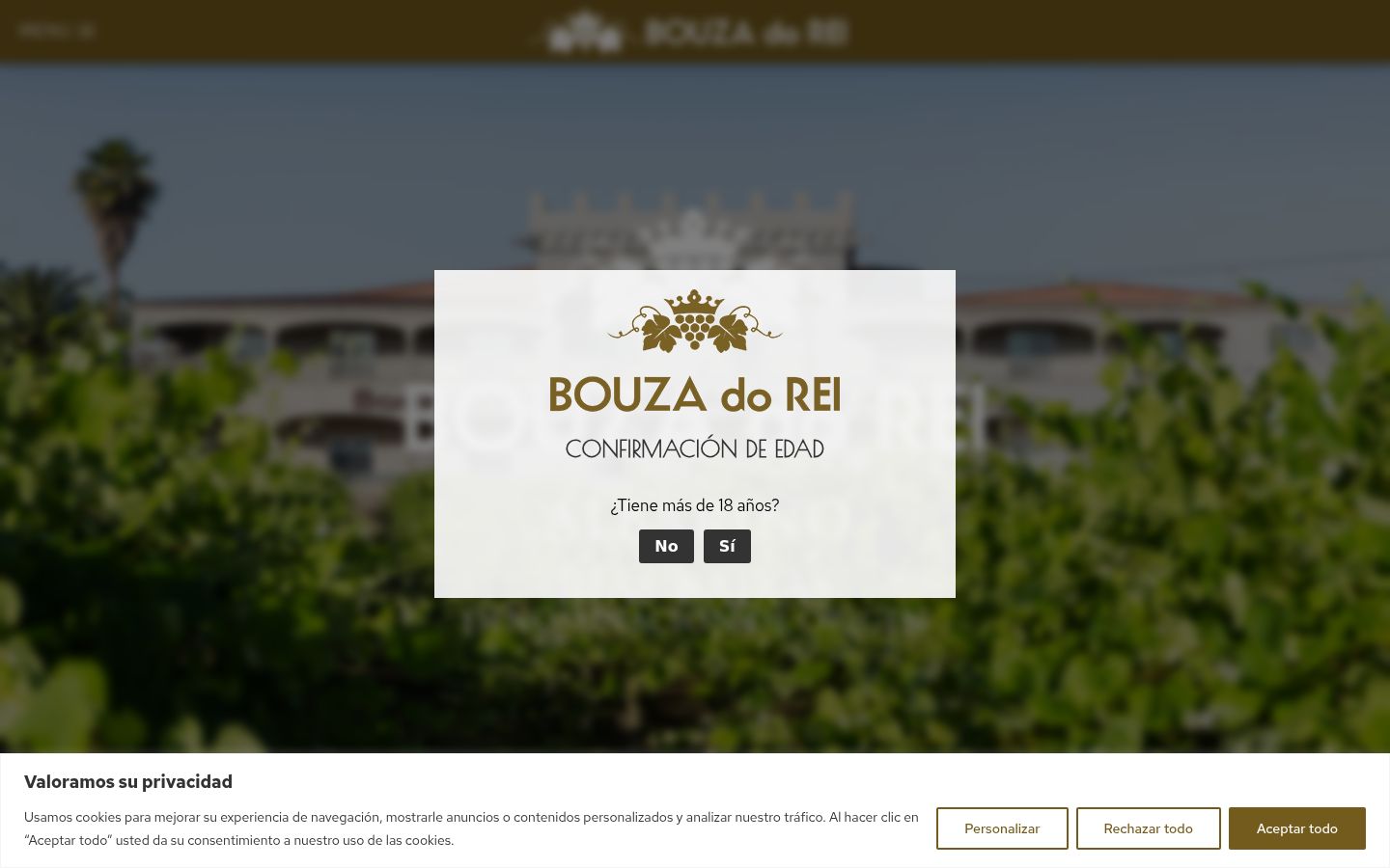 Sutikimo reklamjuostės, rodytos prieš bet kokią sąveiką, ekrano kopija