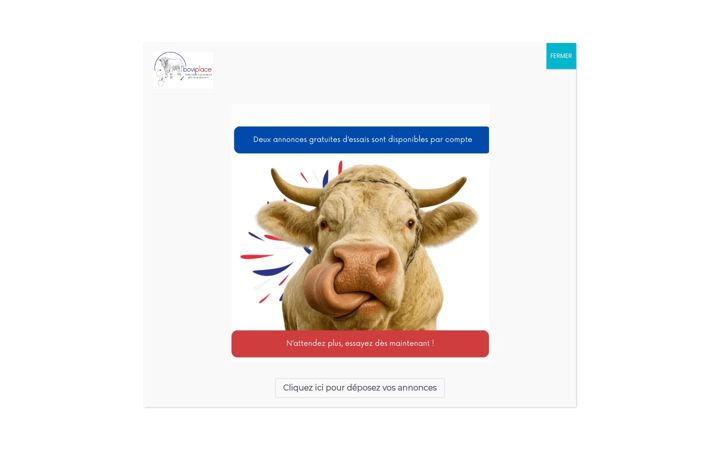 Screenshot of boviplace.com