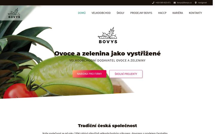 Screenshot of bovys.cz