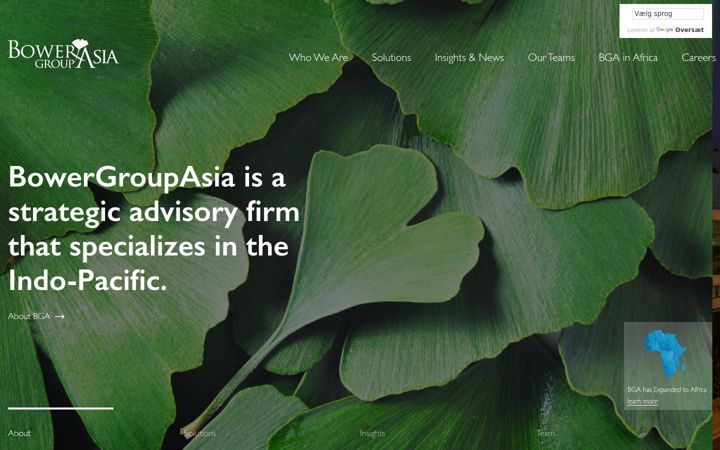 Screenshot of bowergroupasia.com