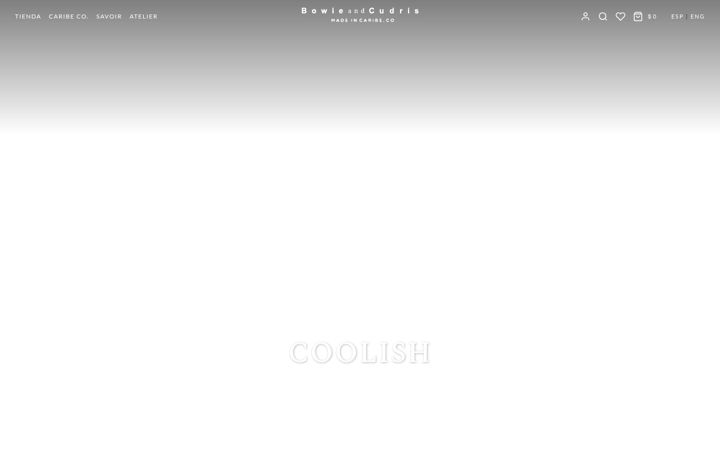 Screenshot of bowieandcudris.com