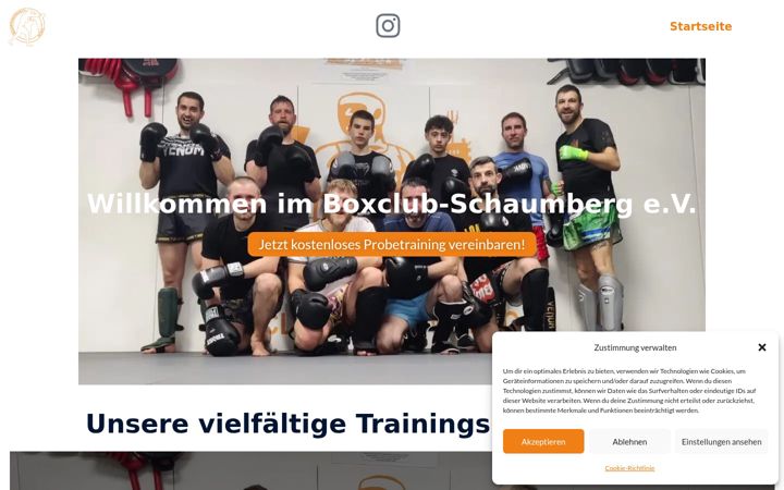 Skjámynd af boxclub-schaumberg.de