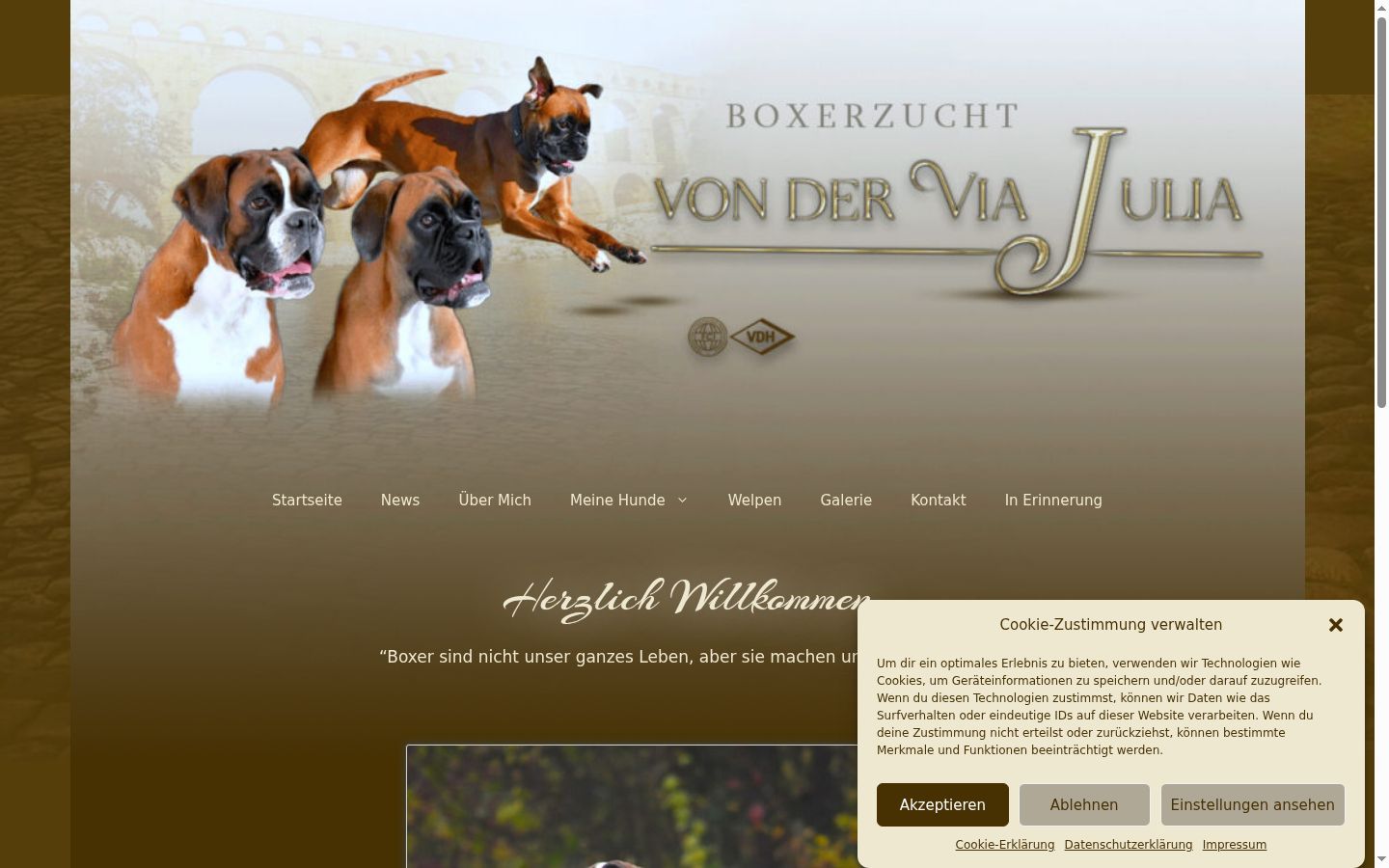 Screenshot des Einwilligungsbanners vor jeglicher Interaktion