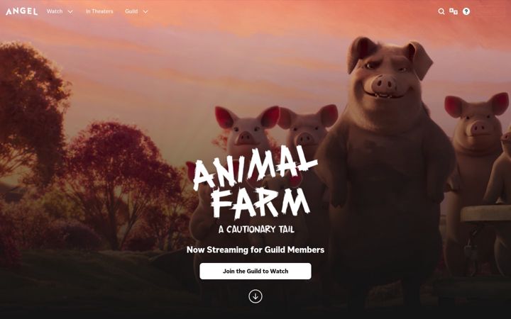 Screenshot of boxersglue.com