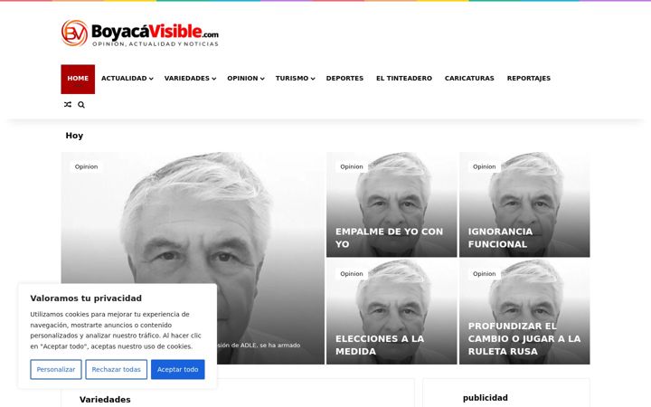 Screenshot of boyacavisible.com