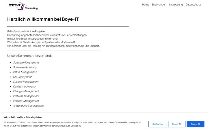 Screenshot of boye-it.de
