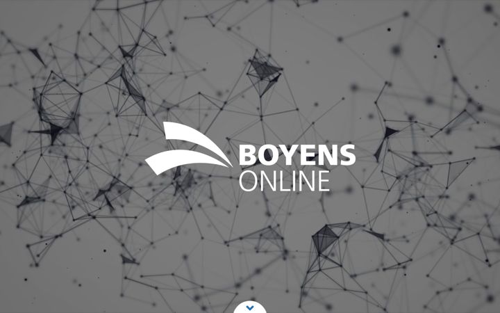 Screenshot of boyens-online.de