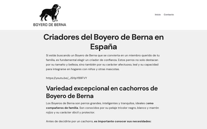 Screenshot of boyerodeberna.es