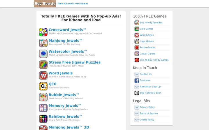 Screenshot of boyhowdytechnology.com