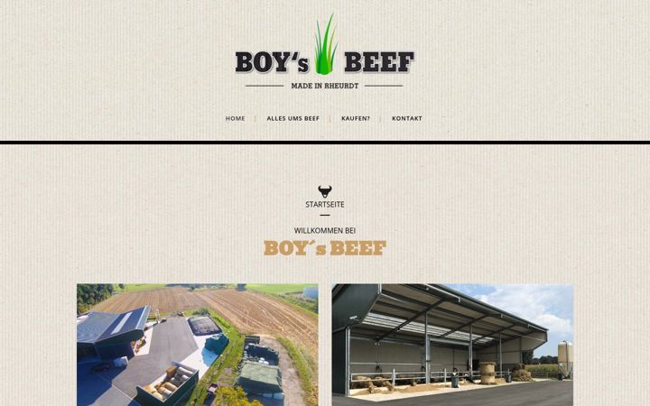 Screenshot of boys-beef.de