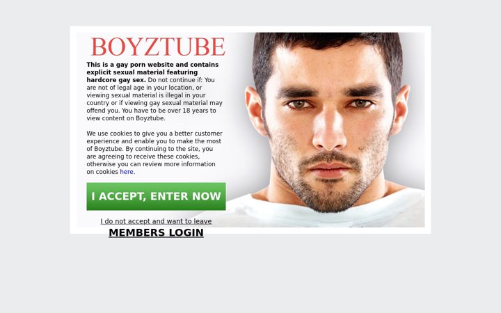 Screenshot of boyztube.com
