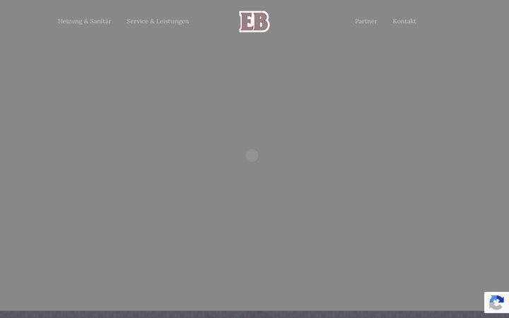 Screenshot of bozdemir-bau.de