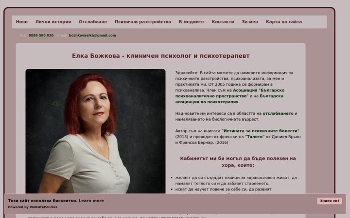 Screenshot of bozhkova.info