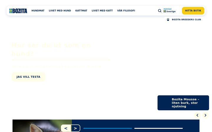 Screenshot of bozita.se