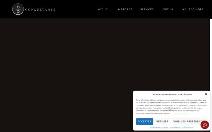 Screenshot of bp-consultants.ca