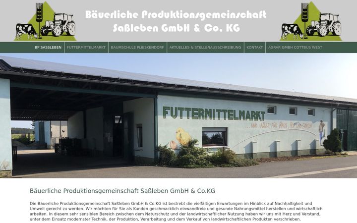 Captura de pantalla de bp-sassleben.de