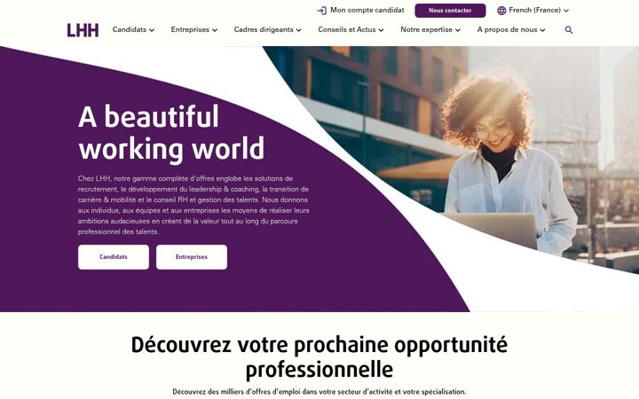 Screenshot of bpi-group.com