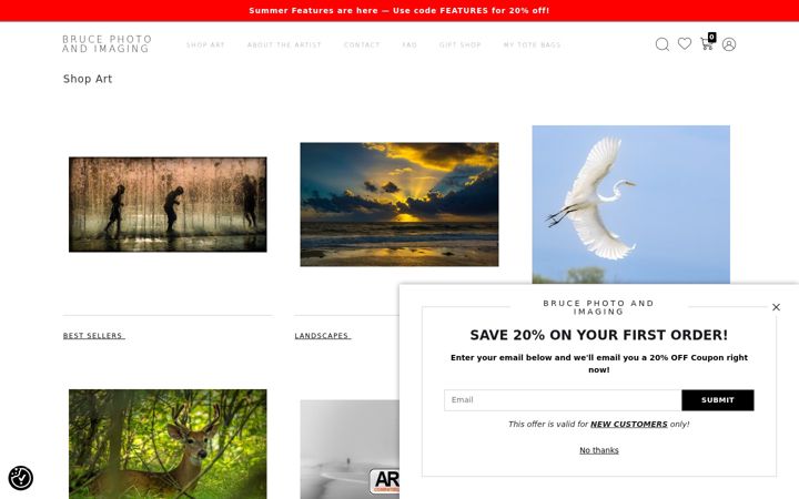 Screenshot of bpi-studio125artphotography.com
