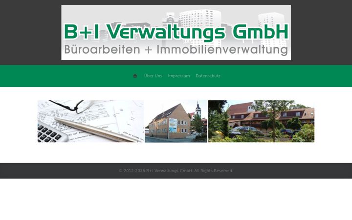 Screenshot of bplusi-torgau.de