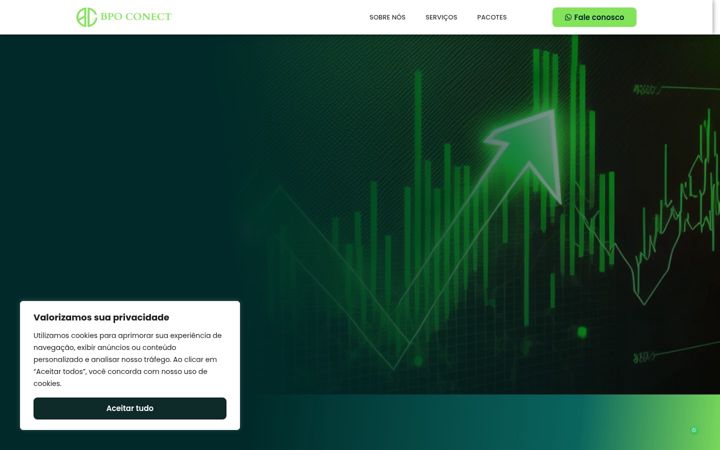 Screenshot of bpoconect.com.br