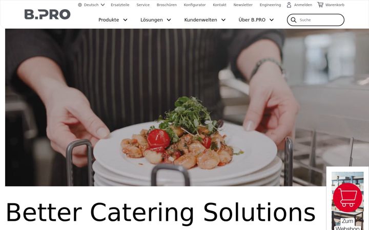 Screenshot of bpro-solutions.com