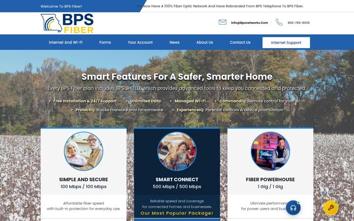 Screenshot of bpsnetworks.com
