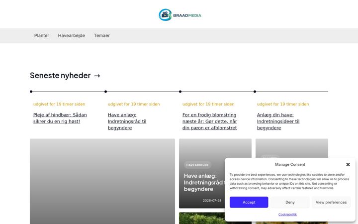 Screenshot of braadmedia.dk